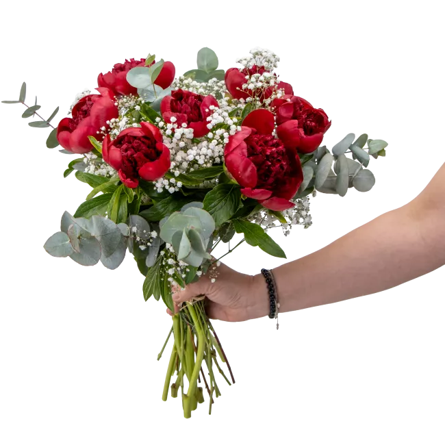 Kytice červených pivoněk